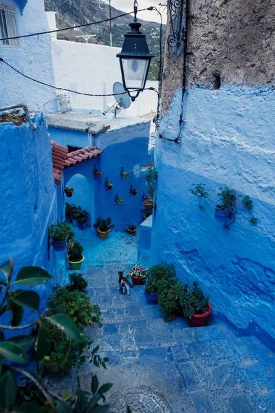 Chefchaouen - blauwe dorp in Marokko — Stockfoto