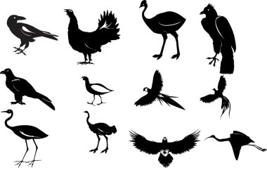 Wildwest illustration in red colors isolated on white. Train and bison on prairie