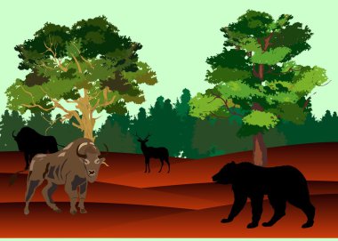 Bizon ve ayı Amerikan Prairie, vektör çizim