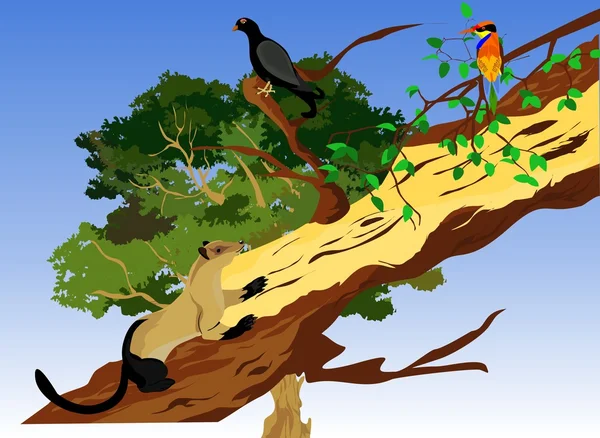 Marten en tronco de árbol, aves en rama de árbol ilustración de escena de vida silvestre . — Vector de stock