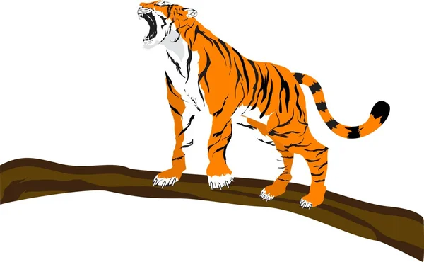 Tiger standing on tree trunk vector illustration. — Stock Vector