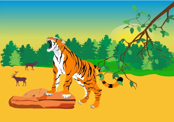 Tigre em pé sobre pedra floresta vector paisagem vetor ilustração . —  Vetores de Stock