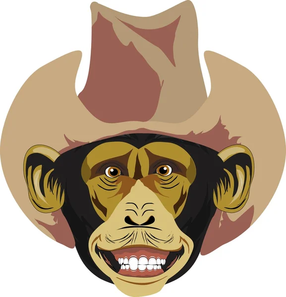 Chimpanze barátait feje, cowboy kalap, elszigetelt vektor kép — Stock Vector