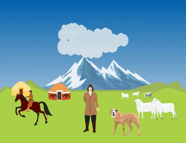 Kazak Aul'du, jurts, koyun, köpek. Tipik Kazakistan kırsal, vektör çizim.