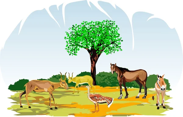 Asya hayvanlar doğal yaban hayatı koşul vektör kümesi üzerinde