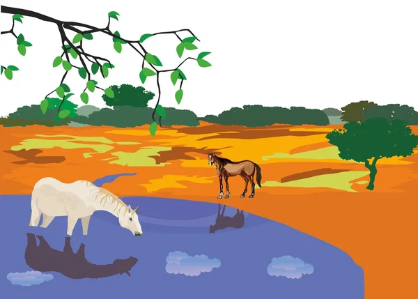 Cavalli al lago steppa, acqua potabile, illustrazione vettoriale — Vettoriale Stock