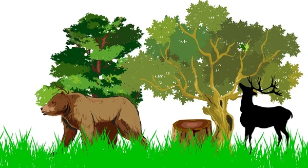 Oso caminando sobre hierba verde, árboles, ilustración vectorial — Vector de stock