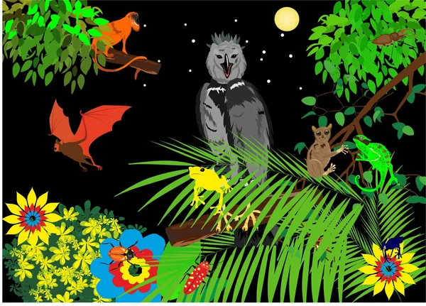 Vektör çizim orman kurbağa, Kartal, maymun, yarasa, bukalemunlar ve çiçekler