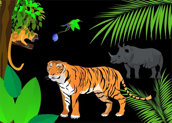 Tigre. rhina un mono en la selva. Escena de ilustración vectorial sobre fondo negro — Vector de stock