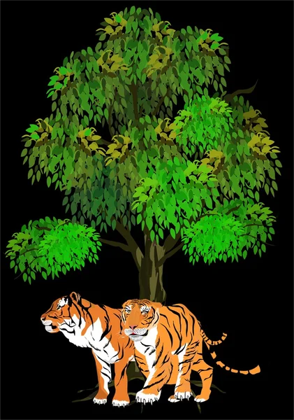 Two tigers standing under tree. Vector illustration on blacl background — Stock Vector