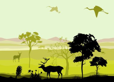   Afrika savanasında, yeşil doğa manzarası, vektör