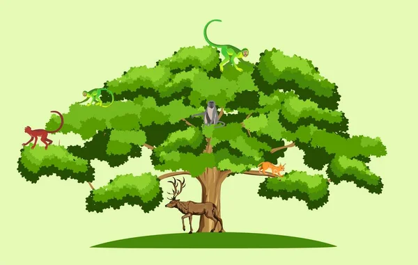 Big Wide Old Green Tree Wild Animals Tree Deer Three — Stock Vector