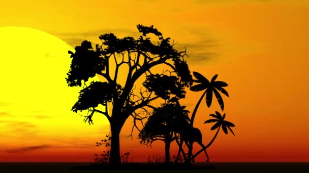 长颈鹿在非洲日落中行走的轮廓 2D动画 — 图库视频影像