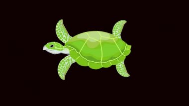 Deniz kaplumbağası tatlandırıcıları, döngülü 2D animasyon, siyah arkaplan