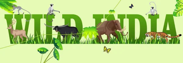Concetto India Selvatica Illustrazione Panoramica Del Vettore Banner Animali Piante — Vettoriale Stock