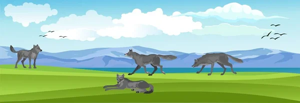Vektör manzarası, kurtlar doğada toplanıyor, mavi gökyüzü ve bulutlar