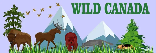 Wild Canada Wild Animals Vector Finland Winter Forest Wolf Bear — стоковый вектор