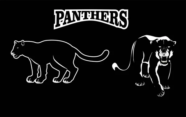 Abbildung Des Panthers Logos Isoliert Auf Schwarzem Hintergrund — Stockvektor