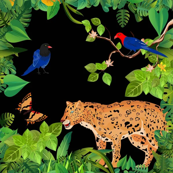 Ilustração Vida Selvagem Selva Onça Pintada Tucano Selva Plantas Animais — Vetor de Stock