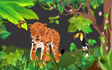 Vahşi yaşam illüstrasyonu. Jaguar. Tukan. Ormanda. Tropik bitkiler ve hayvanlar, vektör