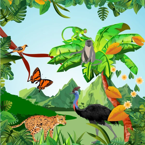 Εικονογράφηση Άγριας Ζωής Ζούγκλα Στρουθοκάμηλος Τουκάν Στη Ζούγκλα Τροπικά Φυτά — Διανυσματικό Αρχείο