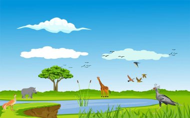 Afrika savanasında bir çift çita, yeşil doğa manzarası, vektör