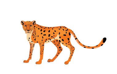 Beyaz vektör illüstrasyonunda izole edilmiş büyük bir kedi.