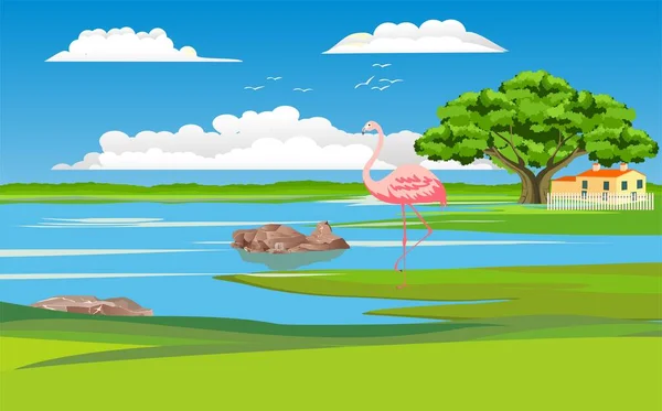 Flamingos Auf Dem See Tierwelt Naturnaher Landschaftsvektor — Stockvektor