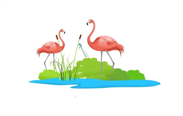 Coppia Fenicotteri Rosa Sul Lago Fauna Selvatica Vettore Del Paesaggio — Vettoriale Stock