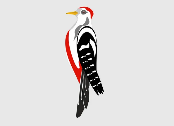 Dzięcioł Płaski Charakter Kolorowa Ikona Ptaka Słodki Dzięcioł Ilustracja Wektora — Wektor stockowy