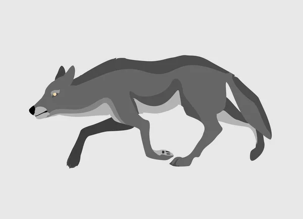Lobo Cinzento Correr Poderoso Animal Predador Perigoso Animal Selvagem Com — Vetor de Stock