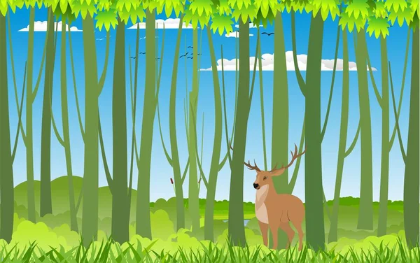 Wild Hert Het Bos Wildlife Vector Illustratie — Stockvector