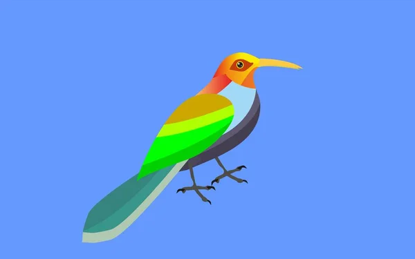 Цветная Яркая Векторная Иллюстрация Птиц — стоковый вектор