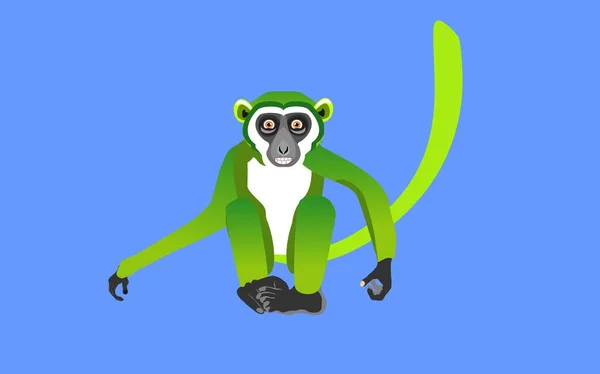 Liitle Zelená Opice Izolované Modrém Vektoru Ilustrace — Stockový vektor
