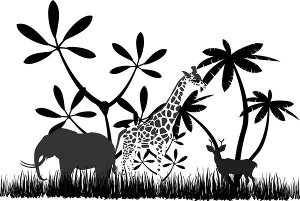 sylwetka dżungli