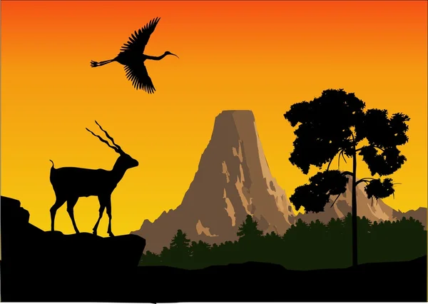 Yaban keçisi flyin kuş siluet. bulutlar kırmızı zemin üzerine