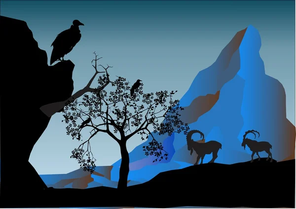 Vahşi gaot siluetleri kaya