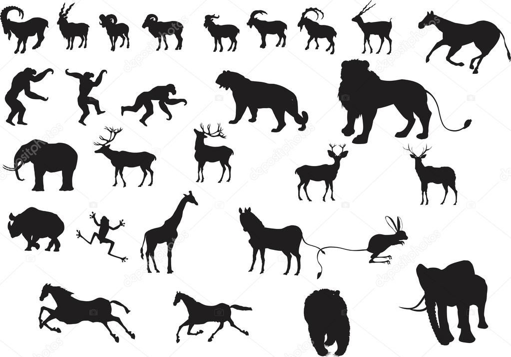 Collection of silhouettes animals isolated on white background