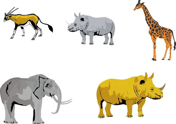 Afrikaanse dieren ingesteld — Stockvector