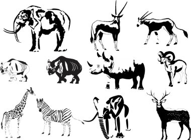 Set of different animals in white black colors: elephant, wolf, deer, tiger, tapir. clipart