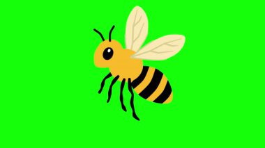 Katı yeşil arka planda kanatları sallanan sevimli çizgi film animasyonu. Çocuk videoları, ekoloji temaları, tozlaşma, eğitim, hareket grafikleri ve tasarım projeleri için basit karakter döngüsü. 