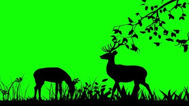 Geyik, ağaç ve kuşların yeşil arka planda uçan siluetlerinin animasyonu No Ai