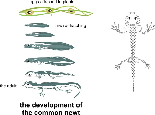 The tiny seed classroom display photo Photo gallery