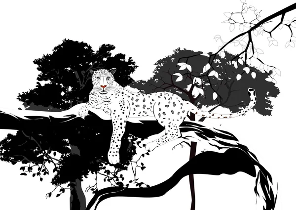 Leopardo salvaje acostado en el árbol, ilustración vectorial. Colores blanco y negro — Archivo Imágenes Vectoriales