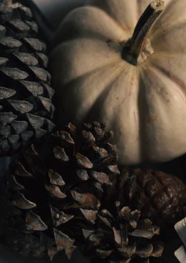 Makro fotoğrafçılık kullanılarak çekilmiş organik dokuları olan bir çam kozalağının yakın çekimi. Gösterişsiz, karamsar ışıklandırma ve sığ alan derinliği derinlik yaratır ve sinematik bir atmosfer yaratır..