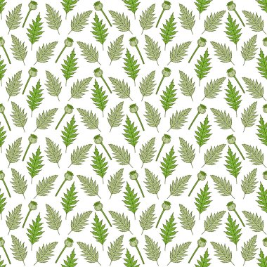 Haşhaş başları ve yaprakları ile dikişsiz desen.