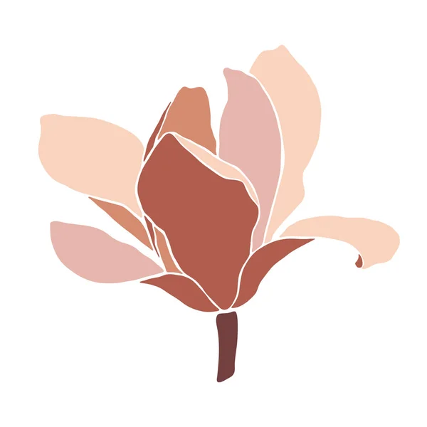 Magnolia Květina Bílém Pozadí Detailní Záběr Styl Květinové Koláže Pastelové — Stockový vektor