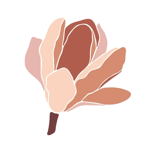 Magnolia Fleur Sur Fond Blanc Gros Plan Collage Floral Style — Image vectorielle