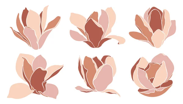 Fleurs Magnolia Isolées Sur Blanc Ensemble Éléments Vectoriels Collage Floral — Image vectorielle