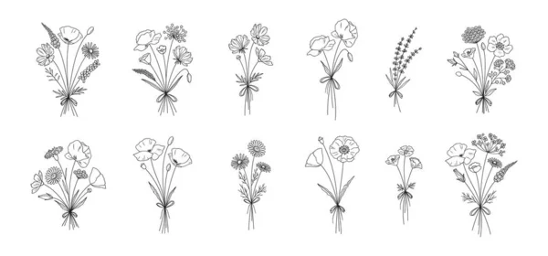 Wildflower Line Art Bouquets Set Handgezeichnete Blumen Wiesenkräuter Wildpflanzen Botanische — Stockvektor